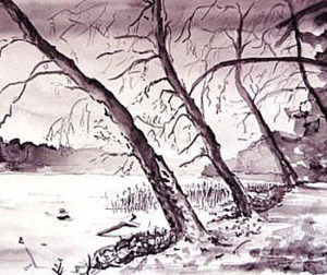 galeriebild-katrin-seifert